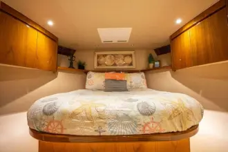 Thumbnail von Viking 66 Convertible Ohne Kragen