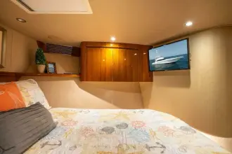 Thumbnail von Viking 66 Convertible Ohne Kragen