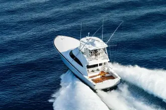 Thumbnail von Viking 50 Convertible 2026 Viking 50C
