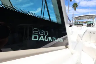 Thumbnail von Boston Whaler 280 Dauntless