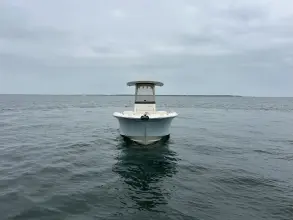 Thumbnail von Grady White Fisherman 236