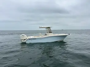 Thumbnail von Grady White Fisherman 236