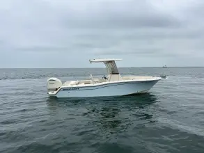 Thumbnail von Grady White Fisherman 236