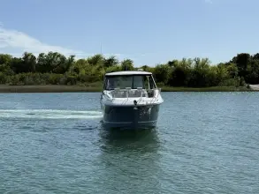 Thumbnail von Sea Ray 320 Sundancer Außenborder