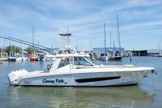Thumbnail von Boston Whaler 420 Outrage