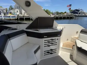 Thumbnail von Sea Ray SLX 310 Freedom