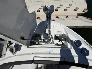 Thumbnail von Sea Ray SLX 310 Freedom