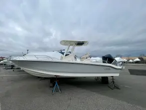 Thumbnail von Boston Whaler 250 Dauntless