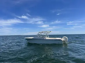 Grady White Freedom 275