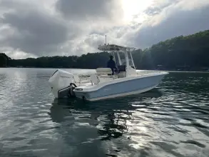Thumbnail von Boston Whaler 250 Dauntless