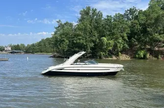 Sea Ray SDX 270 Surf