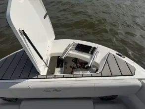 Thumbnail von Sea Ray SDX 270 Surf