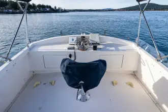 Thumbnail von Northern Bay 36 Kayla Rose