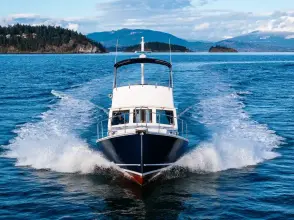 Thumbnail von Northern Bay 36 Kayla Rose