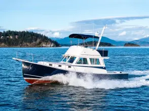 Thumbnail von Northern Bay 36 Kayla Rose