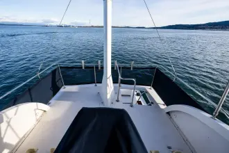 Thumbnail von Northern Bay 36 Kayla Rose