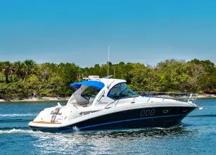 Thumbnail von Sea Ray Sundancer 38