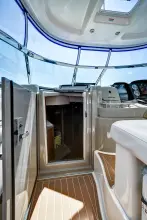 Thumbnail von Sea Ray Sundancer 38