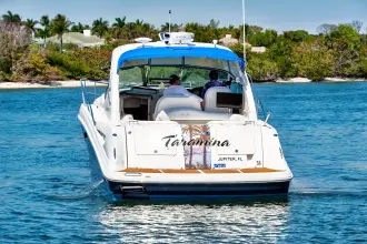 Thumbnail von Sea Ray Sundancer 38