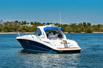 Thumbnail von Sea Ray Sundancer 38