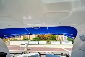 Thumbnail von Sea Ray Sundancer 38