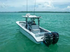 Thumbnail von Yellowfin 29 Offshore