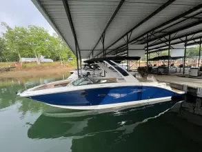 Sea Ray SDX 290 