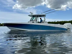 Thumbnail von Boston Whaler 350 Outrage
