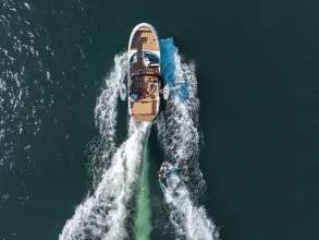Thumbnail von Sea Ray SDX 250 Surf