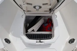 Thumbnail von Boston Whaler 280 Dauntless