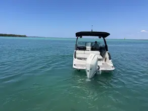 Thumbnail von Sea Ray SLX 260 Außenborder