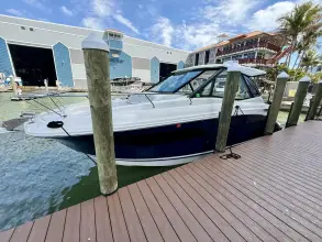 Thumbnail von Sea Ray 320 Sundancer
