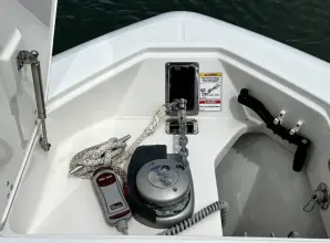 Thumbnail von Boston Whaler 330 Outrage