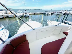 Thumbnail von Ocean Yachts 42 Super Sport 42 ft 1995 Ocean Yachts 42 sportsfish