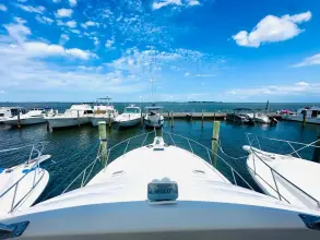 Thumbnail von Ocean Yachts 42 Super Sport 42 ft 1995 Ocean Yachts 42 sportsfish