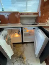 Thumbnail von Sea Ray 480 Sedan Bridge Euphoria