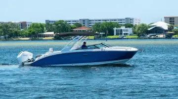 Sea Ray SDX 290 Outboard