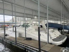 Thumbnail von Sea Ray 440 Sundancer