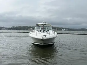 Thumbnail von Sea Ray 440 Sundancer