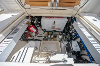 Thumbnail von Boston Whaler 350 Realm