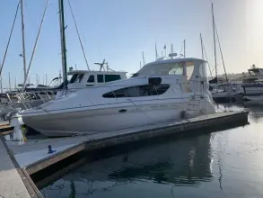 Thumbnail von Sea Ray 390 Motor Yacht R Sea Cat