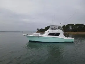 Thumbnail von Hatteras 52 Convertible Reelin' & Rockin'