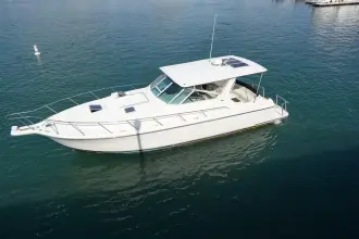 Thumbnail von Tiara Yachts 6CTA-8.3