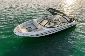 Thumbnail von Sea Ray SDX 230 Surf