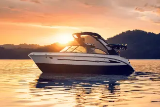 Thumbnail von Sea Ray SDX 230 Surf