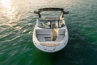 Thumbnail von Sea Ray SDX 230 Surf