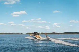 Thumbnail von Sea Ray SDX 250 Surf