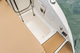 Thumbnail von Sea Ray SDX 250 Surf