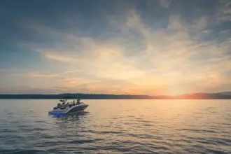 Thumbnail von Sea Ray SDX 290