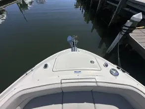 Thumbnail von Sea Ray SLX 310 Außenborder
